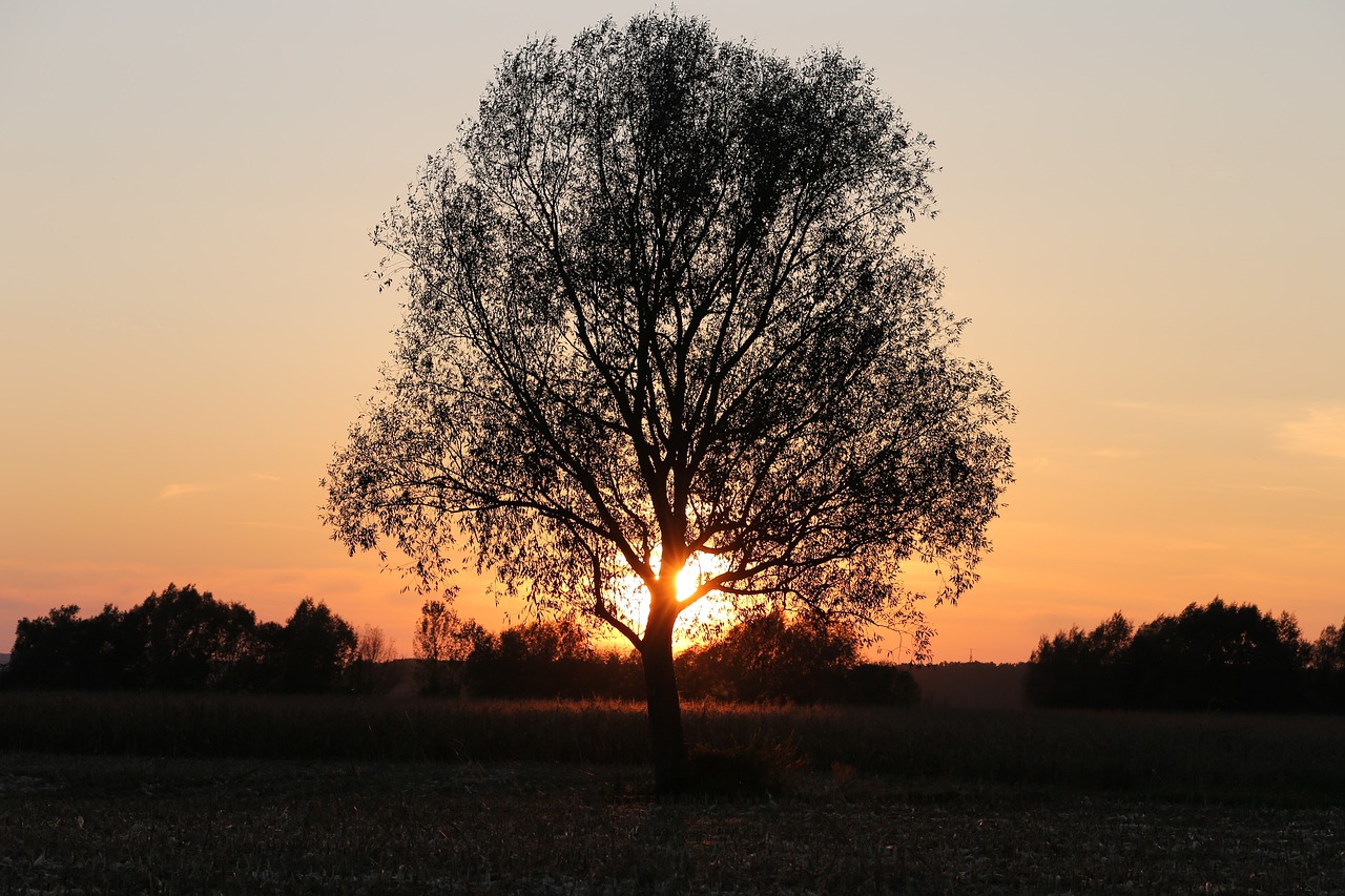 How to Photograph Landscapes for Maximum Effect